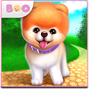 ダウンロード Boo - The World's Cutest Dog をインストールする 最新 APK ダウンローダ