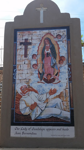 Our Lady of Guadalupe Appears and Heals Juan Bernandino