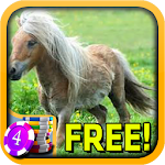 3D Cute Pony Slots - Free Apk