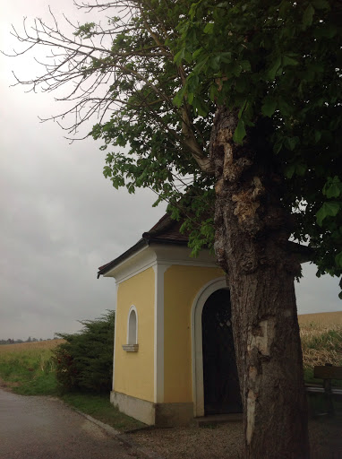 Salomon Kapelle, Niederlaab