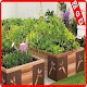 Download Vegetables Garden Ideas For PC Windows and Mac 1.0