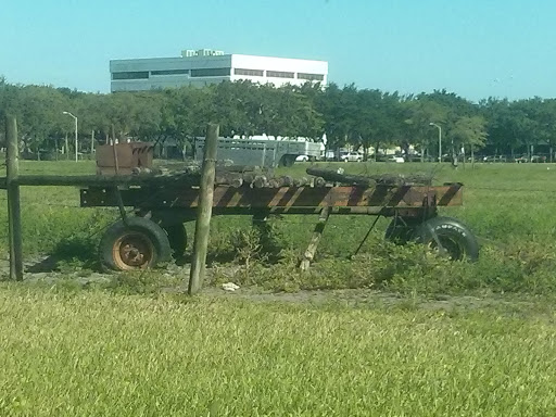 Historic Hay Wagon 