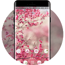 ダウンロード Flower theme pink blossom nature をインストールする 最新 APK ダウンローダ