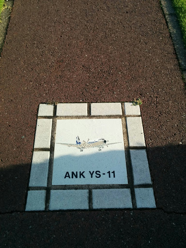 ANK YS-11