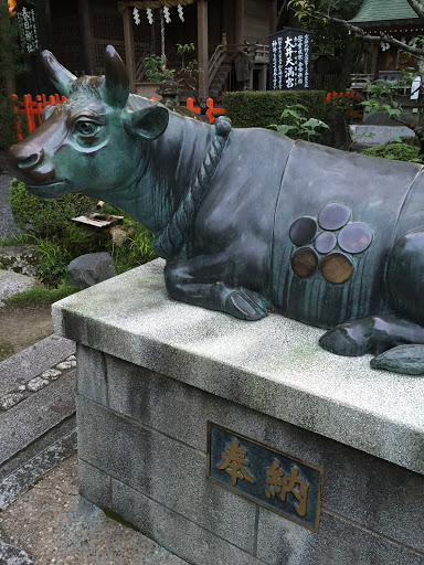春日神社の牛