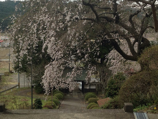 常隆寺