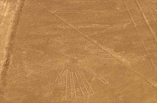 The Nazca lines: the heron