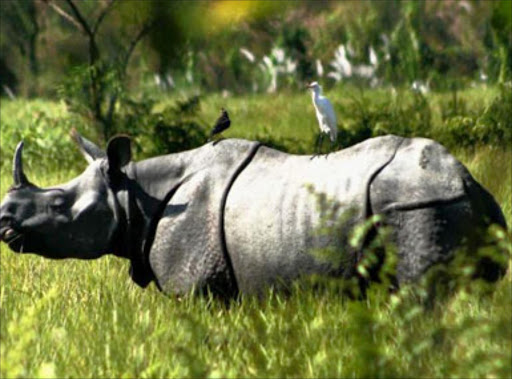 wildlife park in eastern India