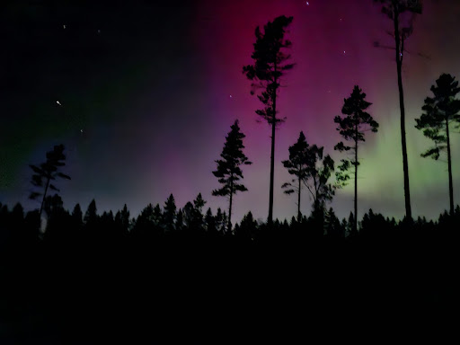 Nordlichter