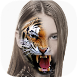 Past Life You Were Animal Face Apk