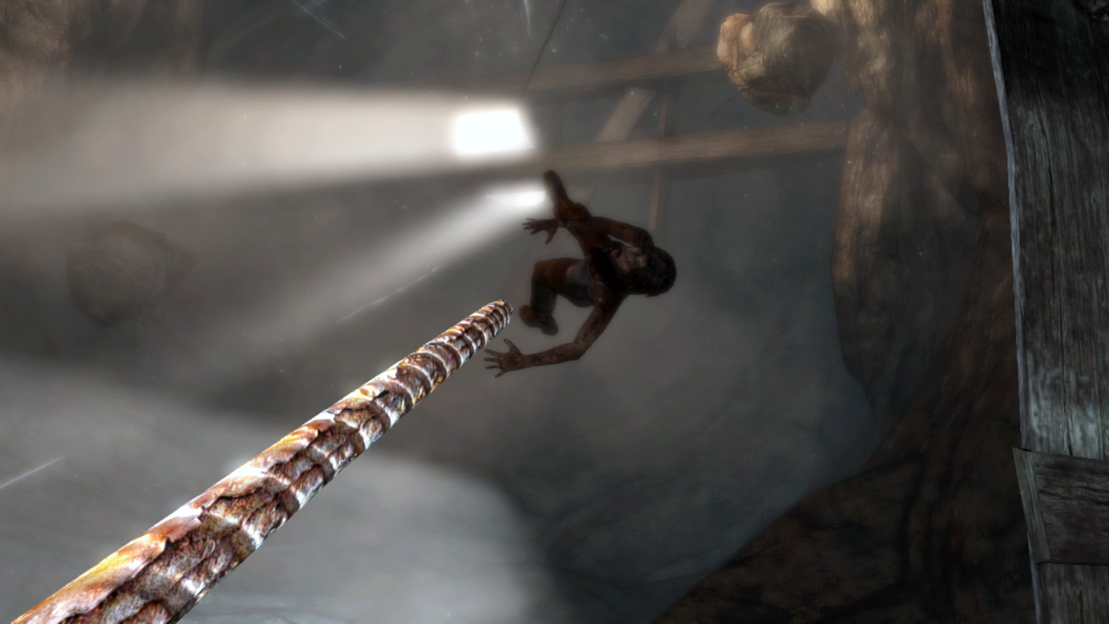    Tomb Raider- screenshot  