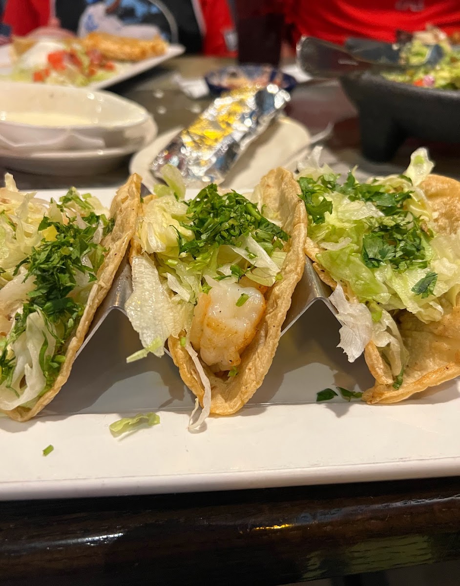 Shrimp tacos with corn tortillas