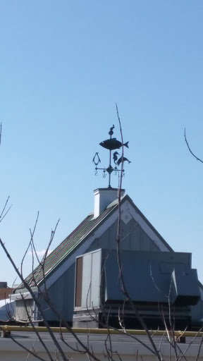 Weather Vane 