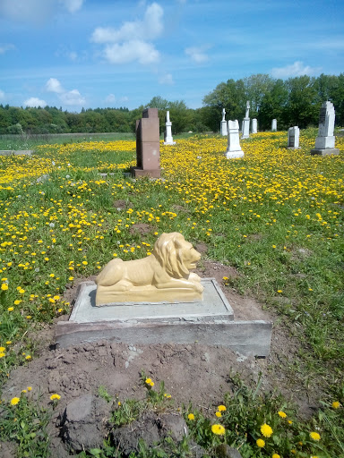 Лев на кладбище