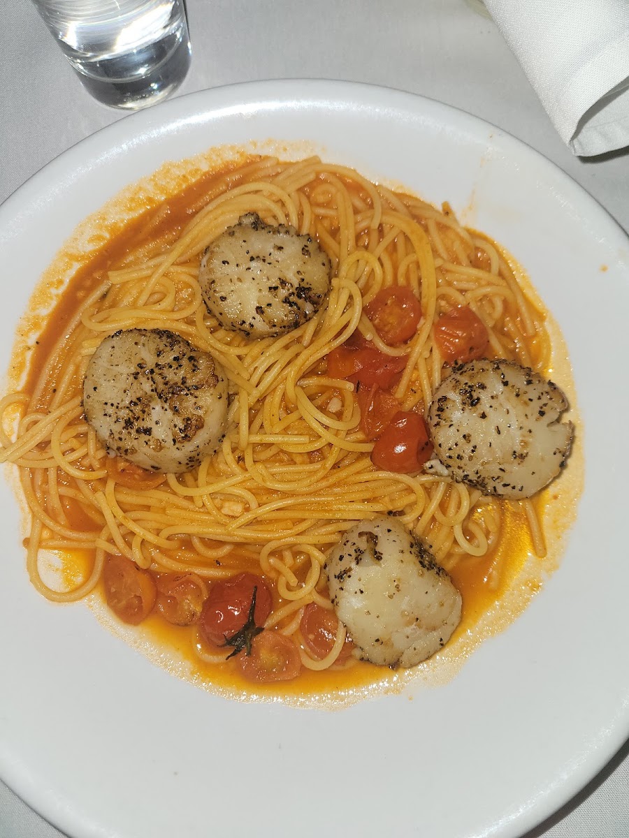 Scallops with gluten free pasta