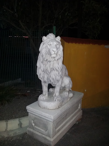 Statua A Leone 