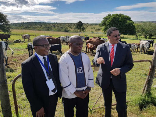GROUND WORK: Agriculture, Forestry and Fisheries Minister Senzeni Zokwana visits the University of Fort Hare’s Nguni farm as part of his official visit to institution. He is flanked by vice-chancellor Sakhela Buhlungu and agriculture and rural development MEC Mlibo Qoboshiyane Picture: SUPPLIED