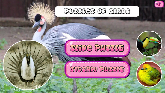 How to get Puzzles of Birds patch 1.0.1 apk for bluestacks