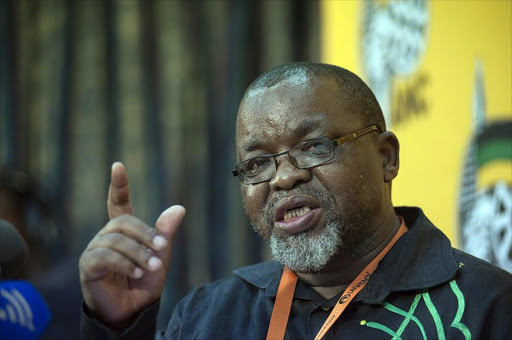 Secretary-general Gwede Mantashe says the committee will now meet regularly. / Ihsaan Haffejee. © The Times