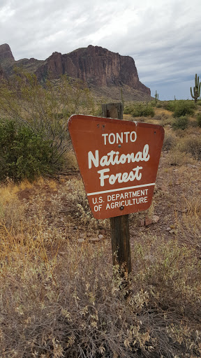 Tonto National Forest