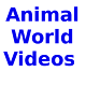 Download Animal life and Nature video, Animal world HDVideo For PC Windows and Mac 1.0