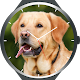 Download Dogs Watch Faces For PC Windows and Mac 1.1
