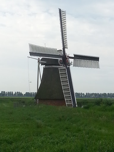 Molen