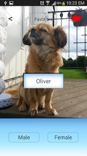 How to mod Name Your Pet patch 1.0 apk for pc