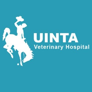 Download Uinta Veterinary Hospital For PC Windows and Mac