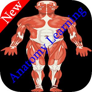 Download Best Anatomy Muscles Learning For PC Windows and Mac