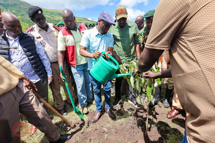 Internal Security PS Raymond Omollo with Transport CS Kipchumba Murkomen during the national tree planting exercise at Gembe Hills in Homa Bay on May 10, 2024.