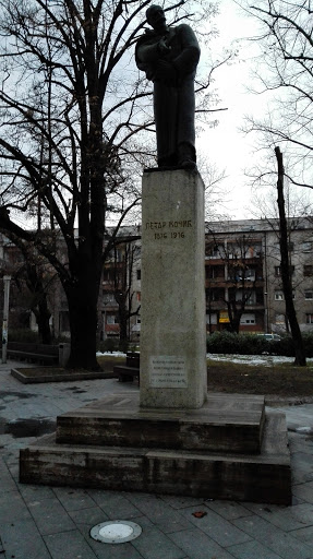 Spomenik Petar Kočić