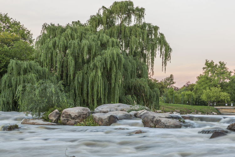 Raw sewage and industrial pollutants flow into parts of the Vaal River. File photo.