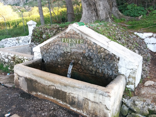 Fuente de la Yedra