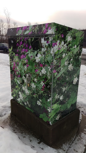 Eco Center Flower Power Box