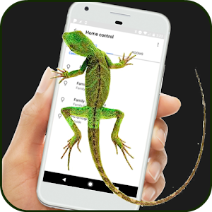 Download Lizard Walking on the Phone For PC Windows and Mac
