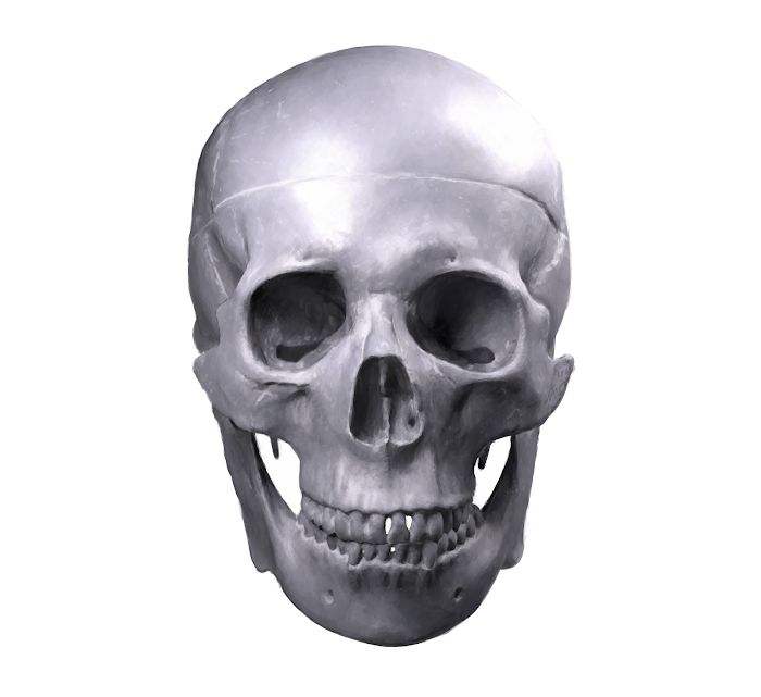 Skull 25