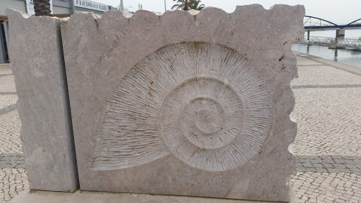 Fossil Statue