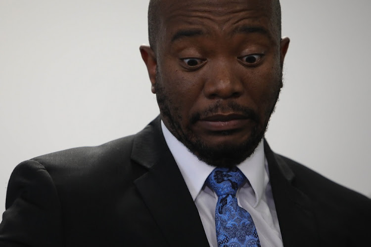 Mmusi Mainane has resigned from all positions in the DA.