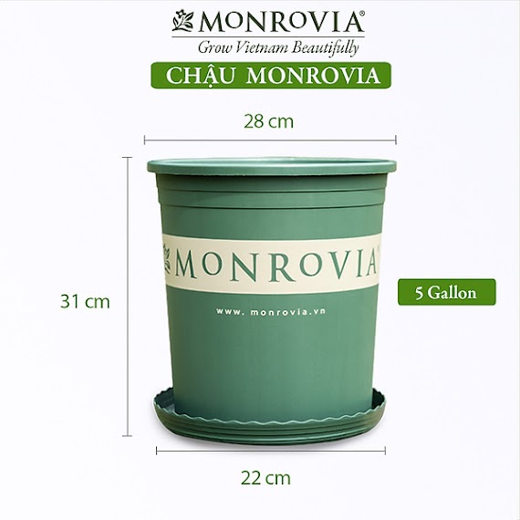Chậu nhựa trồng cây MONROVIA 5 GL, chậu trồng cây, chậu cây cảnh mini, để bàn, treo ban công, treo tường, cao cấp, chính hãng thương hiệu MONROVIA