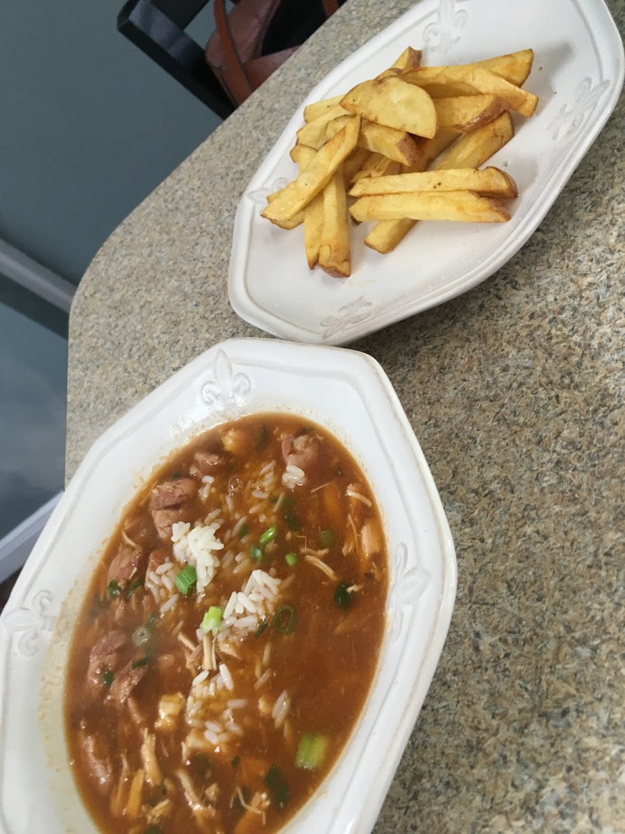 Chicken gumbo and fries