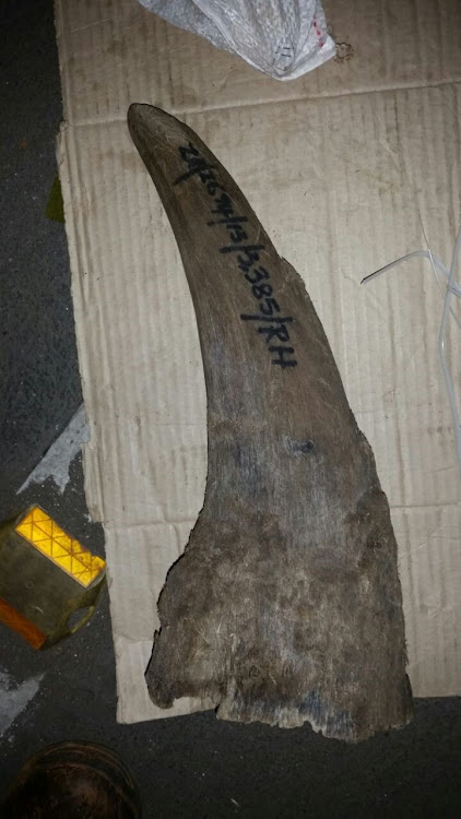 A rhino horn seized by the Hawks in Mpumalanga in 2018. A Middelburg farmer has been found guilty of selling legal rhino horn without a permit.