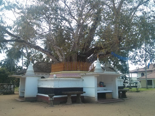 Buddha Statue and Bo Tree At Dhadagamuwa Temple 