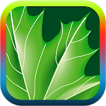 Nature ringtones Apk