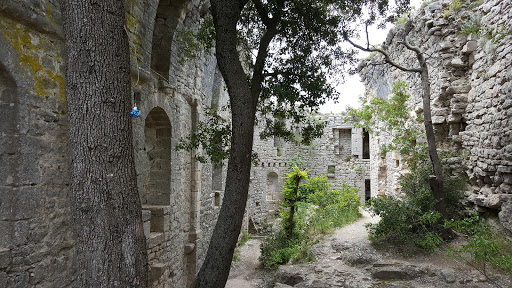 Ruine Du Château De Vivioures