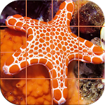 Tile Puzzle - Ocean Life Apk