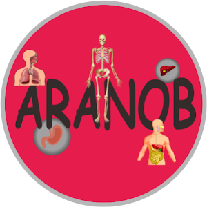 Download ARANOB For PC Windows and Mac