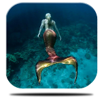 Mermaid Maritime Live Apk