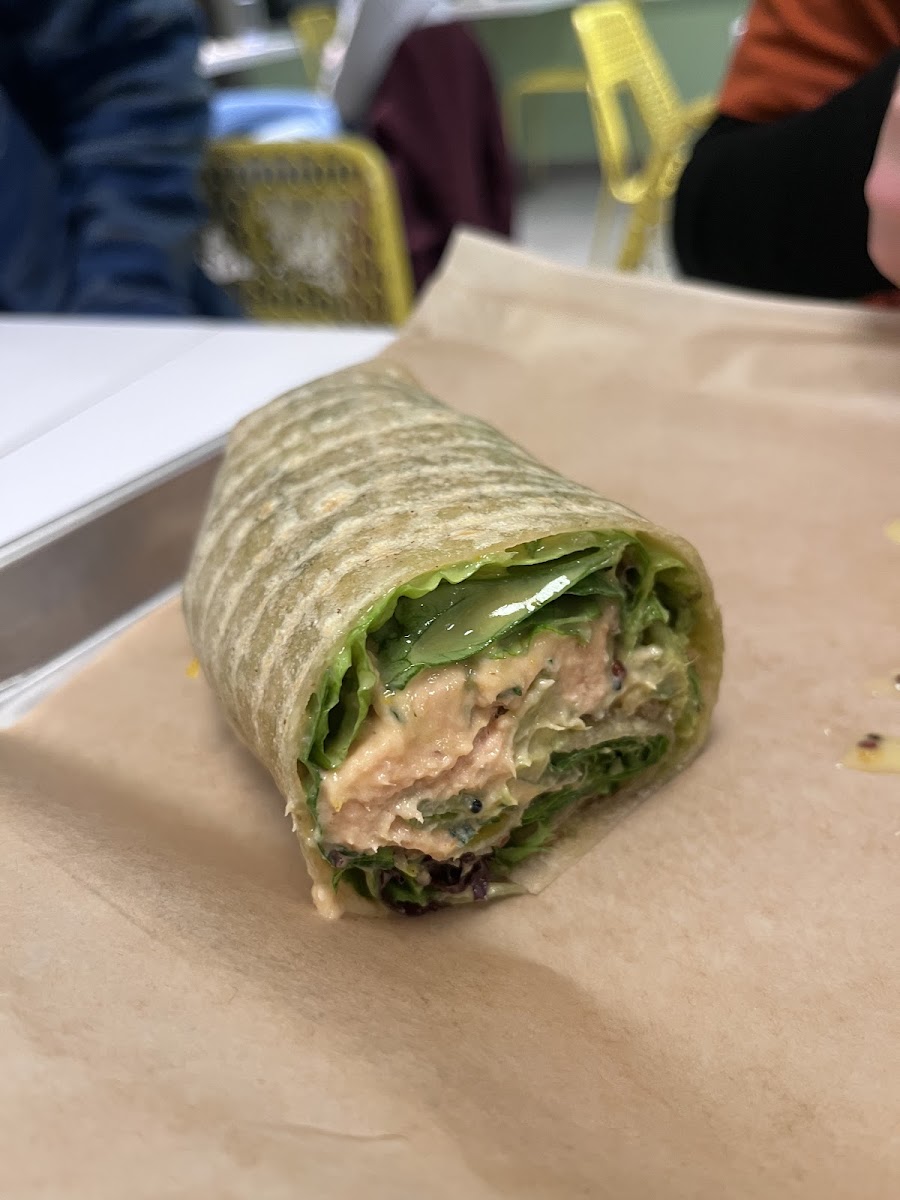 Smoked salmon salad wrap