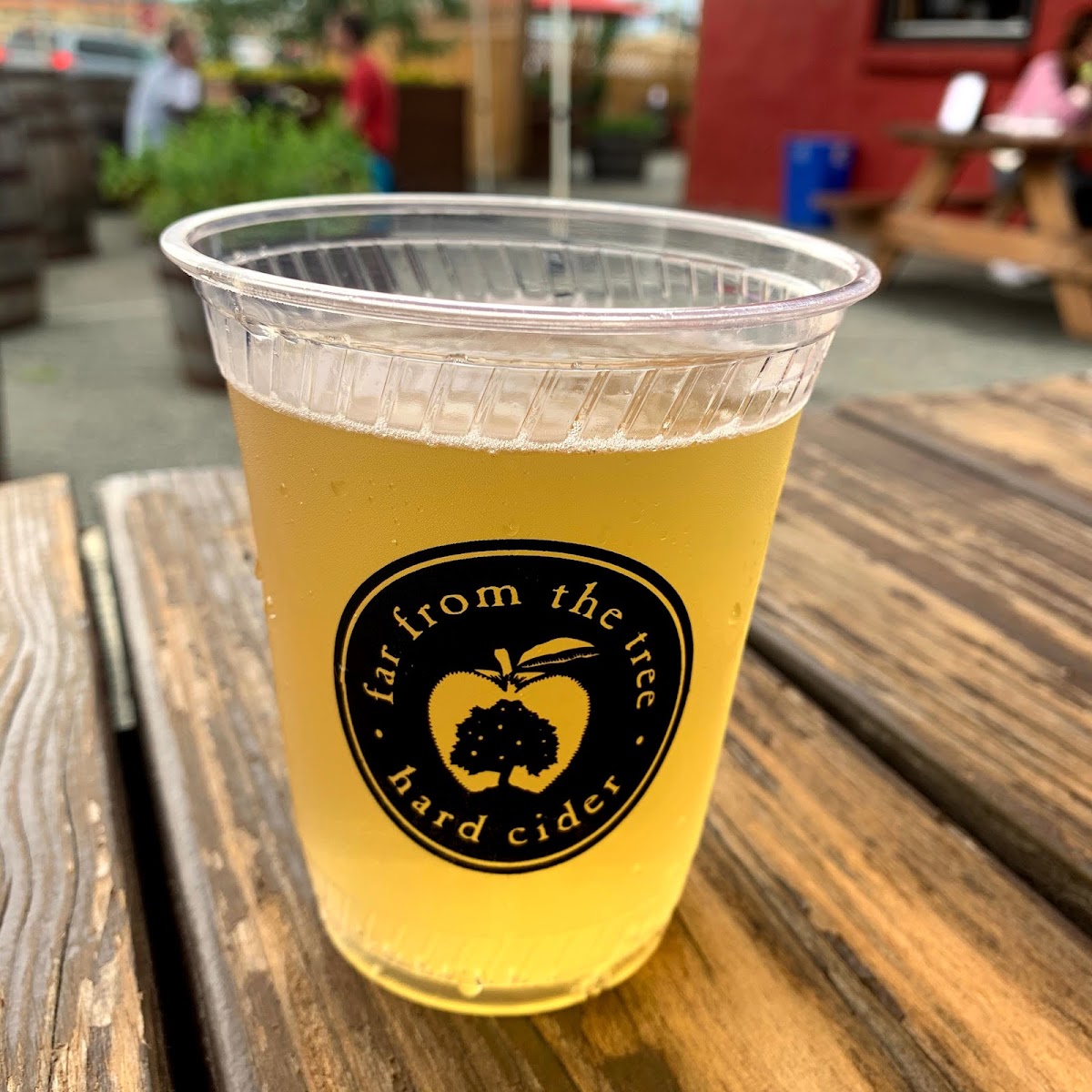 Far From The Tree Cider